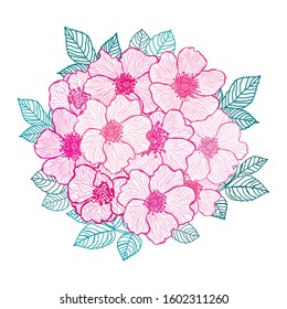 Decorative hand drawn dog rose flowers, design elements. Can be used for cards, invitations, banners, posters, print design. Floral background in line art style