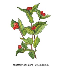 Decorative hand drawn fairy bells, design elements. Can be used for cards, invitations, banners, posters, print design.Berry Autumn background in line art style