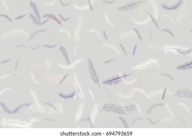 Decorative hand drawn feather illustrations. Good for design texture & background. Cartoon style vector graphic.