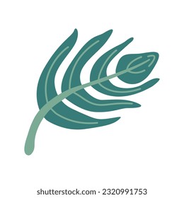 Decorative hand drawn flat floral leaf vector isolated element 