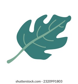 Decorative hand drawn flat floral leaf vector isolated element 