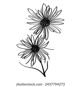 Decorative hand drawn Flower isolated on white. Minimalistic bouquet of flowers. Linear drawing. Silhouette Vector illustration on the theme of Botanini and Nature