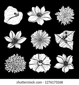 Decorative hand drawn flowers set, design elements. Can be used for cards, invitations, banners, posters, print design. Floral background in line art style