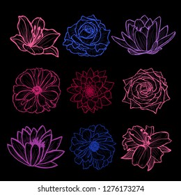 Decorative hand drawn flowers set, design elements. Can be used for cards, invitations, banners, posters, print design. Floral background in line art style