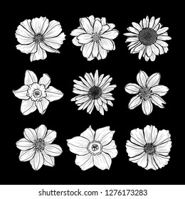 Decorative hand drawn flowers set, design elements. Can be used for cards, invitations, banners, posters, print design. Floral background in line art style