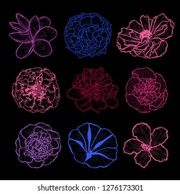 Decorative hand drawn flowers set, design elements. Can be used for cards, invitations, banners, posters, print design. Floral background in line art style