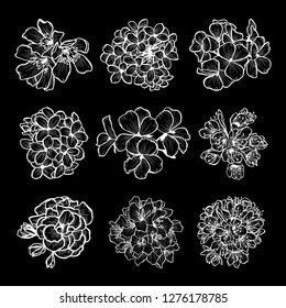 Decorative hand drawn flowers set, design elements. Can be used for cards, invitations, banners, posters, print design. Floral background in line art style