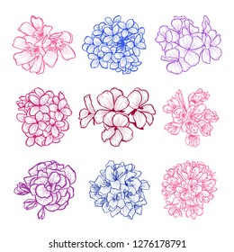 Decorative hand drawn flowers set, design elements. Can be used for cards, invitations, banners, posters, print design. Floral background in line art style