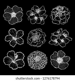 Decorative hand drawn flowers set, design elements. Can be used for cards, invitations, banners, posters, print design. Floral background in line art style