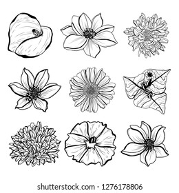 Decorative hand drawn flowers set, design elements. Can be used for cards, invitations, banners, posters, print design. Floral background in line art style