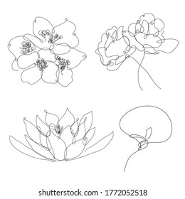 Decorative hand drawn flowers set, design elements. Can be used for cards, invitations, banners, posters, print design. Continuous line art style