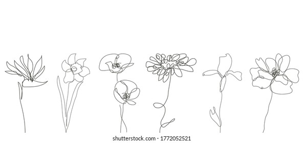 Decorative hand drawn flowers set, design elements. Can be used for cards, invitations, banners, posters, print design. Continuous line art style