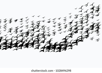 Decorative and hand drawn flying birds illustrations. Good for design texture & background. Cartoon style vector.
