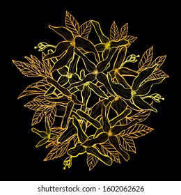 Decorative hand drawn forsythia flowers, design elements. Can be used for cards, invitations, banners, posters, print design. Floral background in line art style