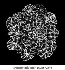 Decorative hand drawn geranium flowers, design elements. Can be used for cards, invitations, banners, posters, print design. Floral background in line art style