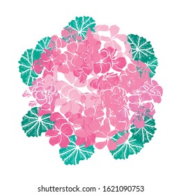 Decorative hand drawn geranium flowers, design elements. Can be used for cards, invitations, banners, posters, print design. Floral background in line art style