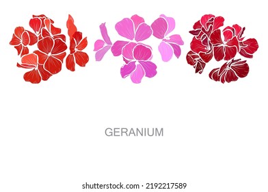 Decorative hand drawn  geranium flowers, design elements. Can be used for cards, invitations, banners, posters, print design. Floral background