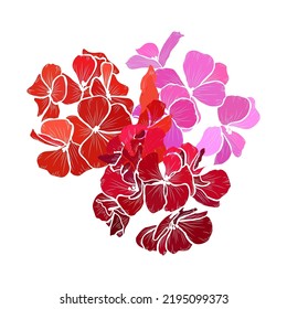 Dekorative, handgezeichnete Geranenblumen, Design-Elemente. Kann für Karten, Einladungen, Banner, Poster, Print-Design verwendet werden. floraler Hintergrund