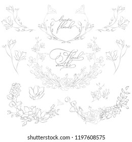 Decorative Hand Drawn Herbs, Plants and Flowers, Branches, Florals, Wreaths, Corners and Floristic Frames. Design Elements Line Drawing Vector Illustration. Linear