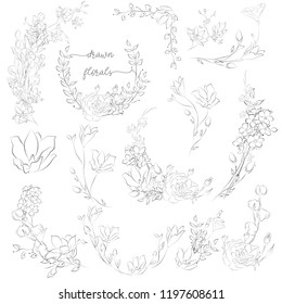 Decorative Hand Drawn Herbs, Plants and Flowers, Branches, Florals, Wreaths, Corners and Floristic Frames. Design Elements Line Drawing Vector Illustration. Linear