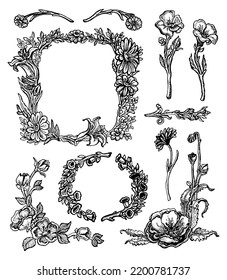 Decorative Hand Drawn Herbs, Plants and Flowers, Branches, Florals, Wreaths, Corners and Floristic Frames. Design Elements Line Drawing Vector Illustration.