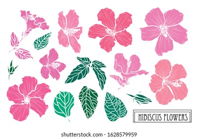 Decorative hand drawn hibiscus flowers set, design elements. Can be used for cards, invitations, banners, posters, print design. Floral background in line art style