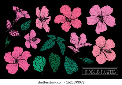 Decorative hand drawn hibiscus flowers set, design elements. Can be used for cards, invitations, banners, posters, print design. Floral background in line art style