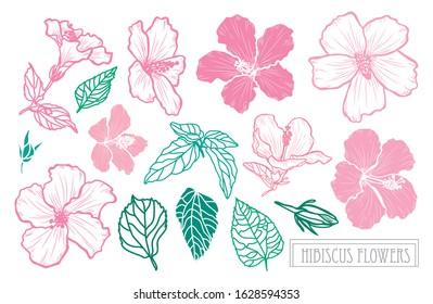 Decorative hand drawn hibiscus flowers set, design elements. Can be used for cards, invitations, banners, posters, print design. Floral background in line art style