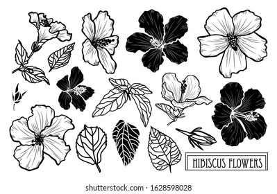 Decorative hand drawn hibiscus flowers set, design elements. Can be used for cards, invitations, banners, posters, print design. Floral background in line art style