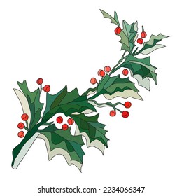 Decorative hand drawn holly berry branch, design element. Can be used for cards, invitations, banners, posters, print design. Christmas, New year, winter background in line art style