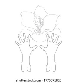 Dekorative, handgezeichnete Hände, die Lilienblume, Design-Elemente halten. Kann für Karten, Einladungen, Banner, Poster, Print-Design verwendet werden. Kunststil mit kontinuierlicher Linie