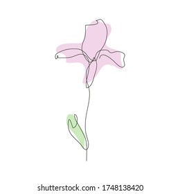 Decorative hand drawn iris flower, design element. Can be used for cards, invitations, banners, posters, print design. Continuous line art style