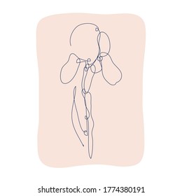 Dekorative, handgezeichnete Iris-Blume, Design-Element. Kann für Karten, Einladungen, Banner, Poster, Print-Design verwendet werden. Kunststil mit kontinuierlicher Linie
