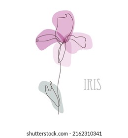 Decorative hand drawn iris flower, design element. Can be used for cards, invitations, banners, posters, print design. Floral background