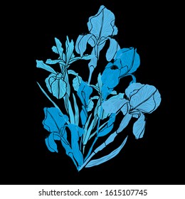 Decorative hand drawn iris flowers, design elements. Can be used for cards, invitations, banners, posters, print design. Floral background in line art style