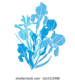 Decorative hand drawn iris flowers, design elements. Can be used for cards, invitations, banners, posters, print design. Floral background in line art style