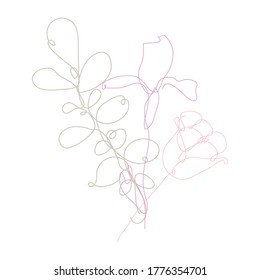 Decorative hand drawn iris and tulip flowers, design elements. Can be used for cards, invitations, banners, posters, print design. Continuous line art style