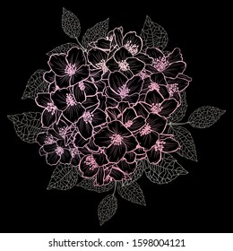 Decorative hand drawn jasmine  flowers, design elements. Can be used for cards, invitations, banners, posters, print design. Floral background in line art style