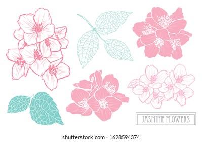 Decorative hand drawn jasmine flowers set, design elements. Can be used for cards, invitations, banners, posters, print design. Floral background in line art style