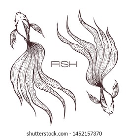 decorative hand drawn koi or betta or goldfish illustration. sketched line fish graphic. two long wavy tailed fishes concept on white. engraved illustration of top view of fishes.great for tattoo logo