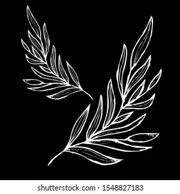 Decorative hand drawn leaves, design elements. Can be used for cards, invitations, banners, posters, print design. Floral background in line art style