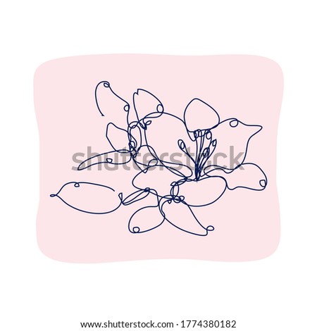 Decorative hand drawn liy flower, design element. Can be used for cards, invitations, banners, posters, print design. Continuous line art style