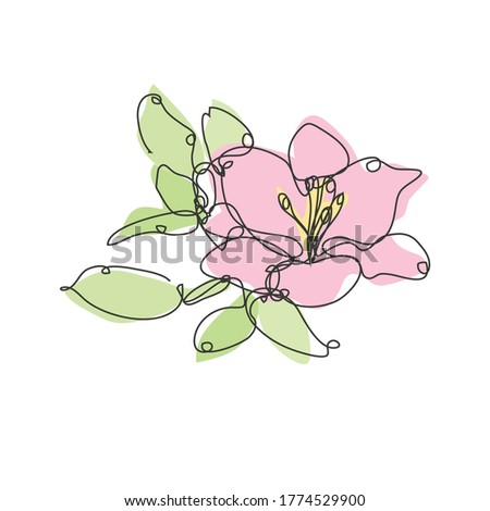 Decorative hand drawn liy flower, design element. Can be used for cards, invitations, banners, posters, print design. Continuous line art style