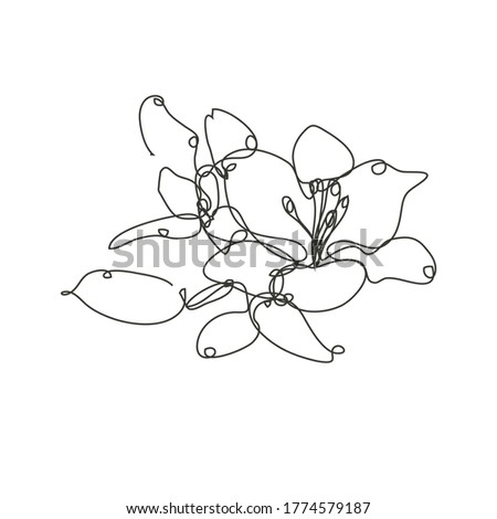 Decorative hand drawn liy flower, design element. Can be used for cards, invitations, banners, posters, print design. Continuous line art style