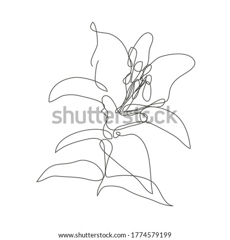 Decorative hand drawn liy flower, design element. Can be used for cards, invitations, banners, posters, print design. Continuous line art style