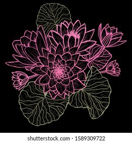 Decorative hand drawn lotus  flowers, design elements. Can be used for cards, invitations, banners, posters, print design. Floral background in line art style
