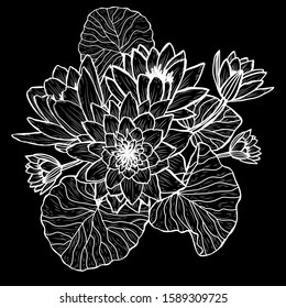 Decorative hand drawn lotus  flowers, design elements. Can be used for cards, invitations, banners, posters, print design. Floral background in line art style