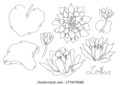 Decorative hand drawn lotus flowers set, design elements. Can be used for cards, invitations, banners, posters, print design. Continuous line art style