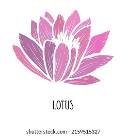Decorative hand drawn lotus, waterlily  flower, design element. Can be used for cards, invitations, banners, posters, print design. Floral background