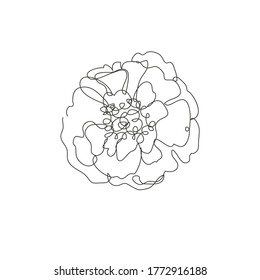 Decorative hand drawn marigold flower, design element. Can be used for cards, invitations, banners, posters, print design. Continuous line art style